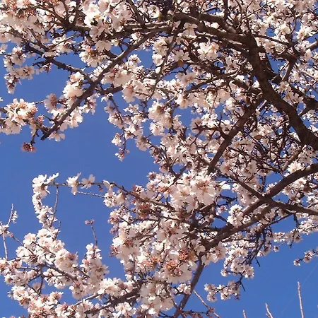 Апартаменти L' Arca